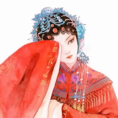 观众苏梨的头像